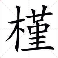 槿意思|槿的意思，槿字的意思